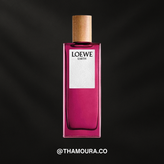 Loewe SOLO EARTH (original)